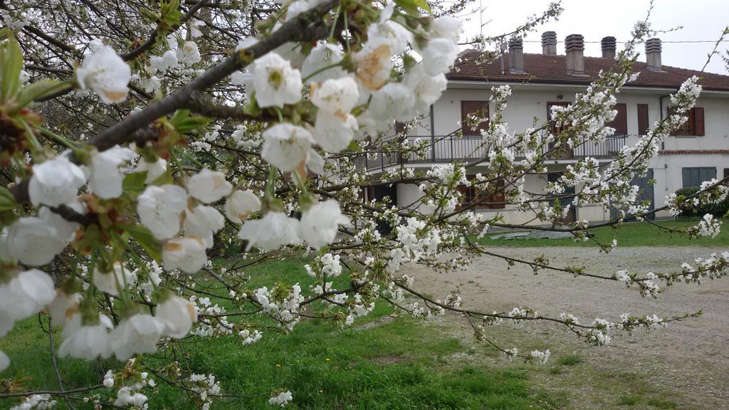 Cascina Torello Dogliani Exterior photo