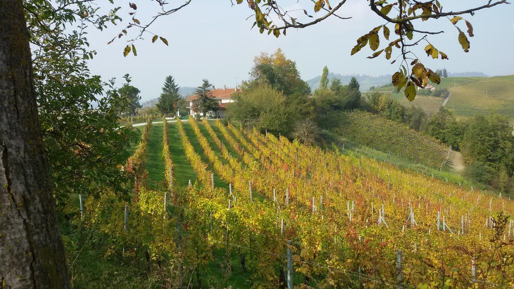 Cascina Torello Dogliani Exterior photo